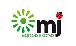 mj-asesores